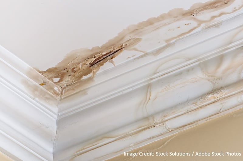 Is Your Roof Leaking Around Your Vent Pipes?